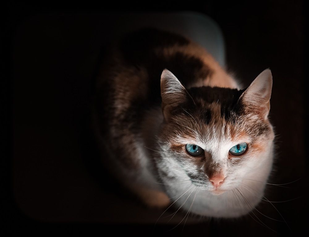 Photograph by Дарья Григорьева