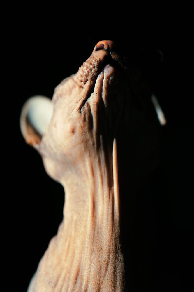 Photograph by Дарья Григорьева