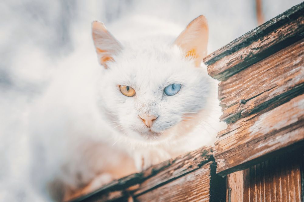 Photograph by Дарья Григорьева