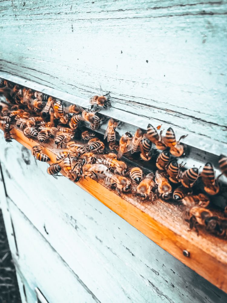 Photograph by Дмитрий Соляников