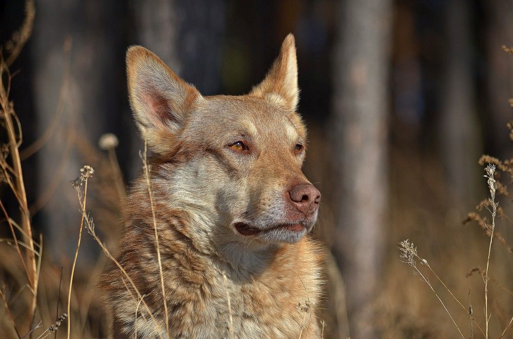 Photograph by Вадим Басов