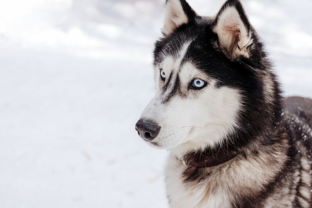 Photograph by Екатерина Урцева