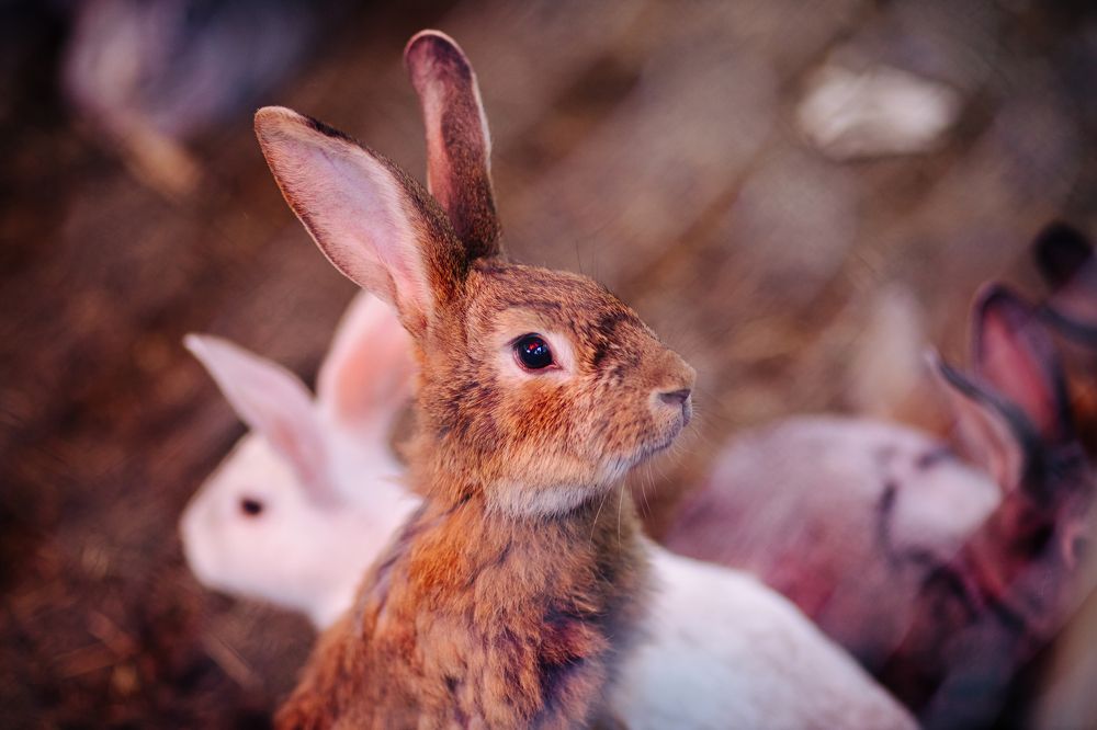 Photograph by Екатерина Урцева