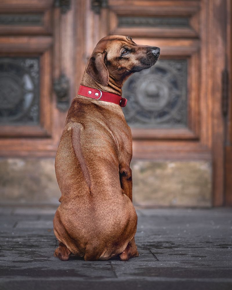 Фотография автора Евгения Тузова