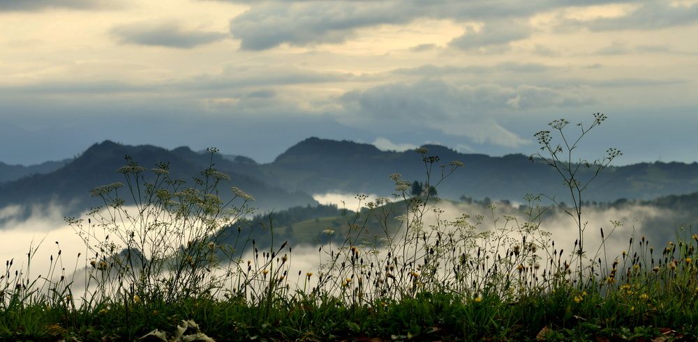 Photograph by Lojze Burja