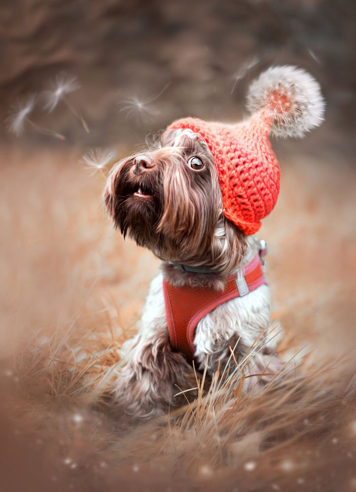 Photograph by Eugenia Tuzova