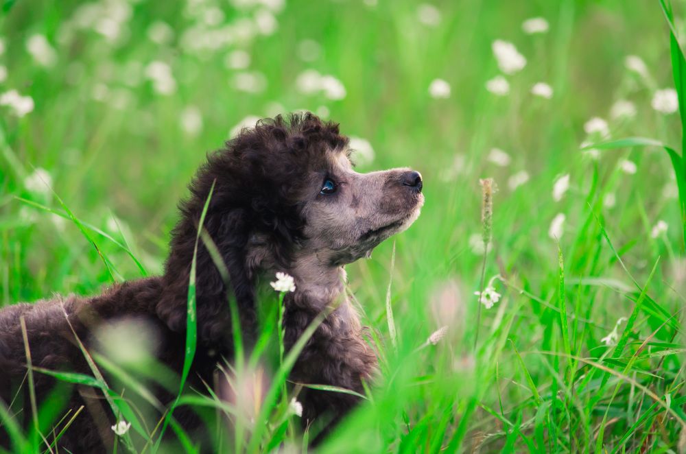 Photograph by Вадим Басов