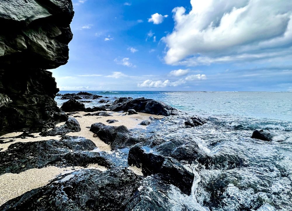 Photograph by Christine ECHEVET-ADAM de VILLIERS