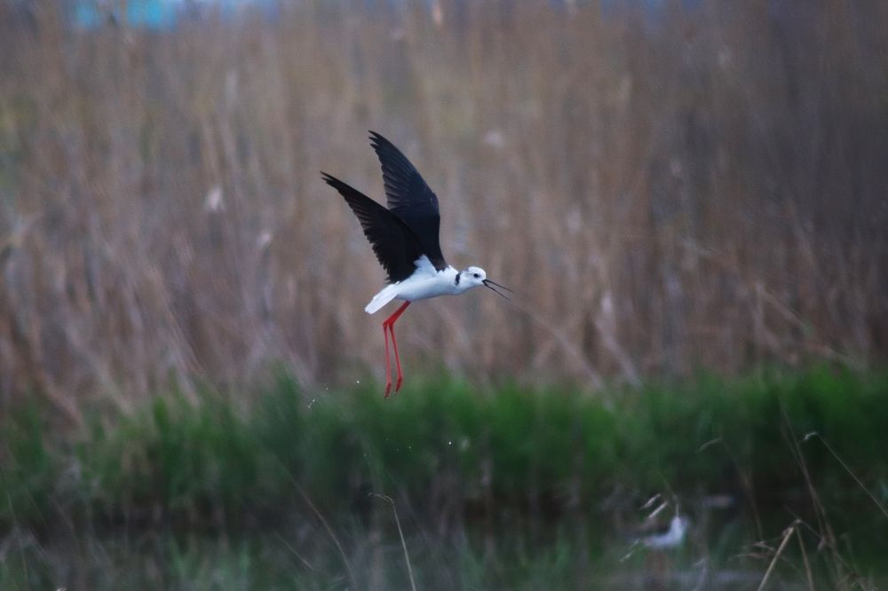 Photograph by Alexandr Tulinov