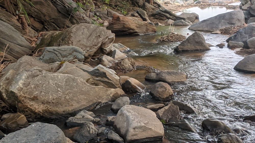 Фотография автора Santanu Dasgupta