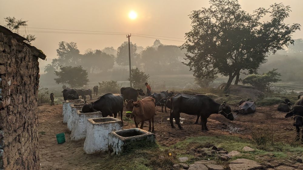 Фотография автора Santanu Dasgupta
