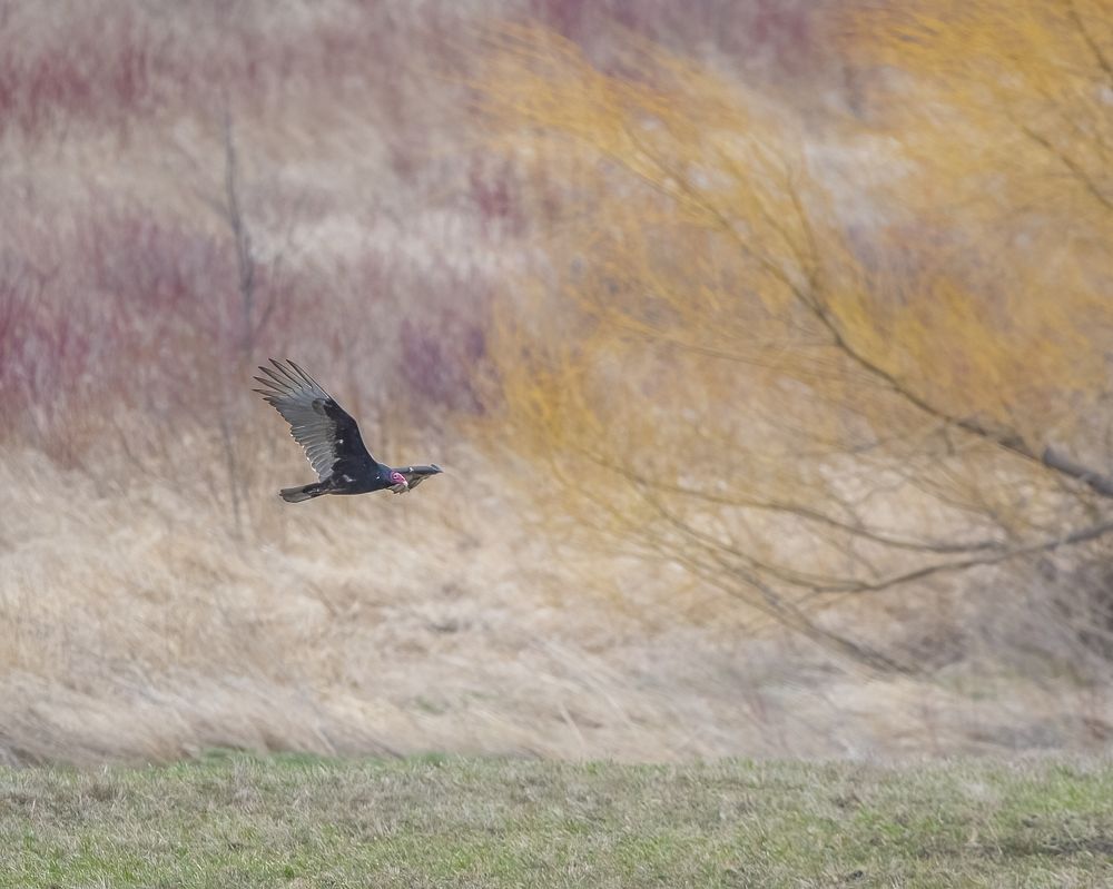 Photograph by James David Raj