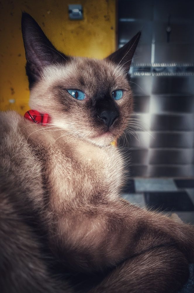 Photograph by Aya Khiari