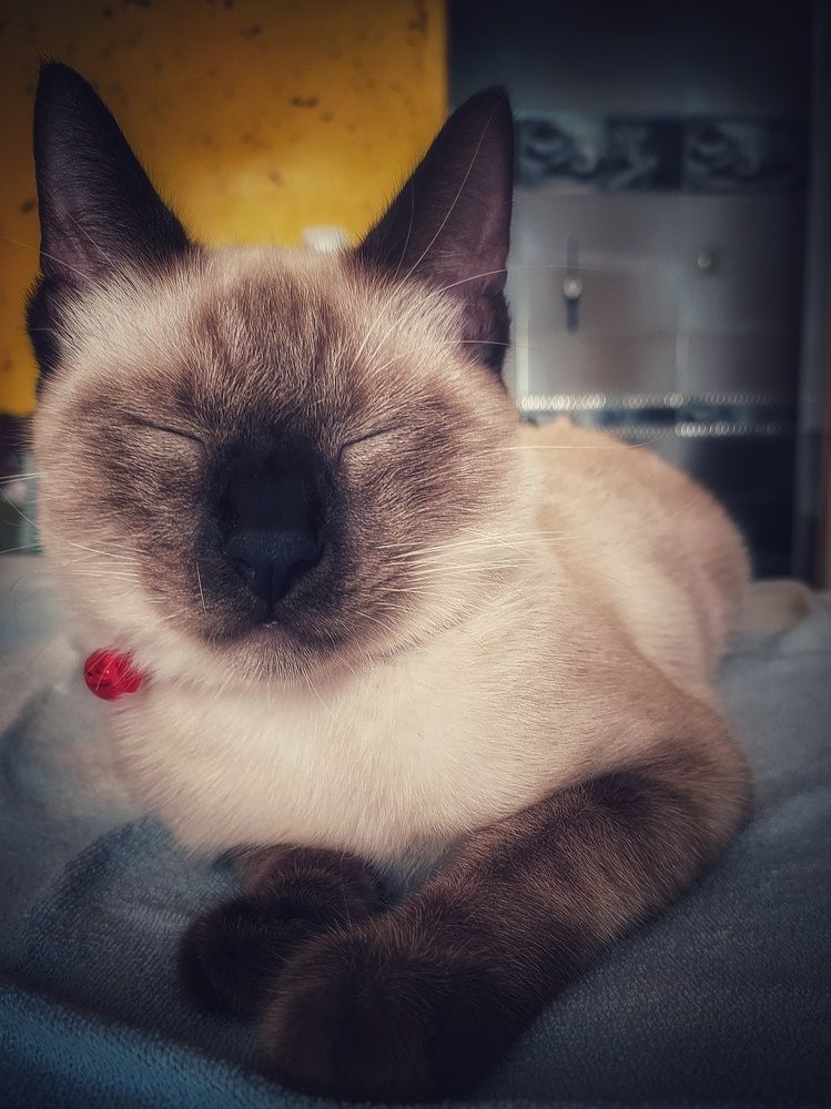 Photograph by Aya Khiari