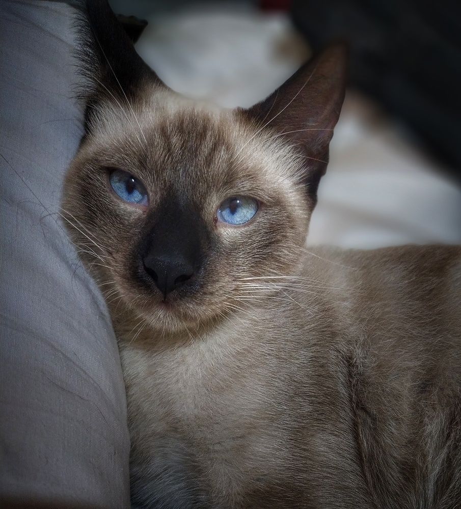 Photograph by Aya Khiari