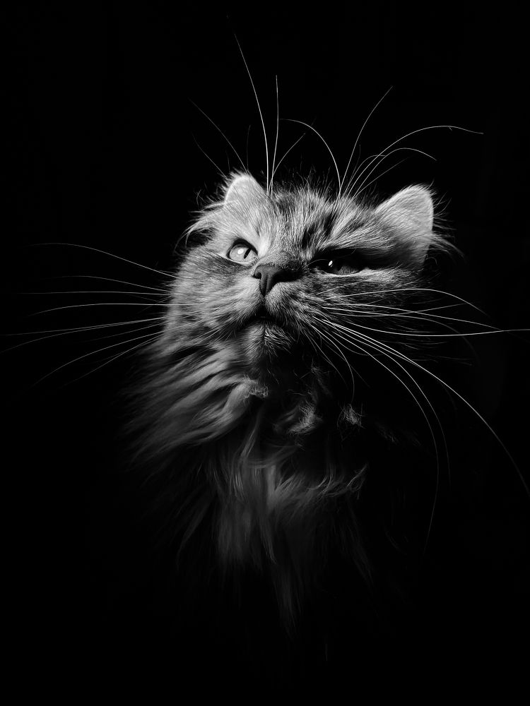 Photograph by Nadezhda Serdyuk