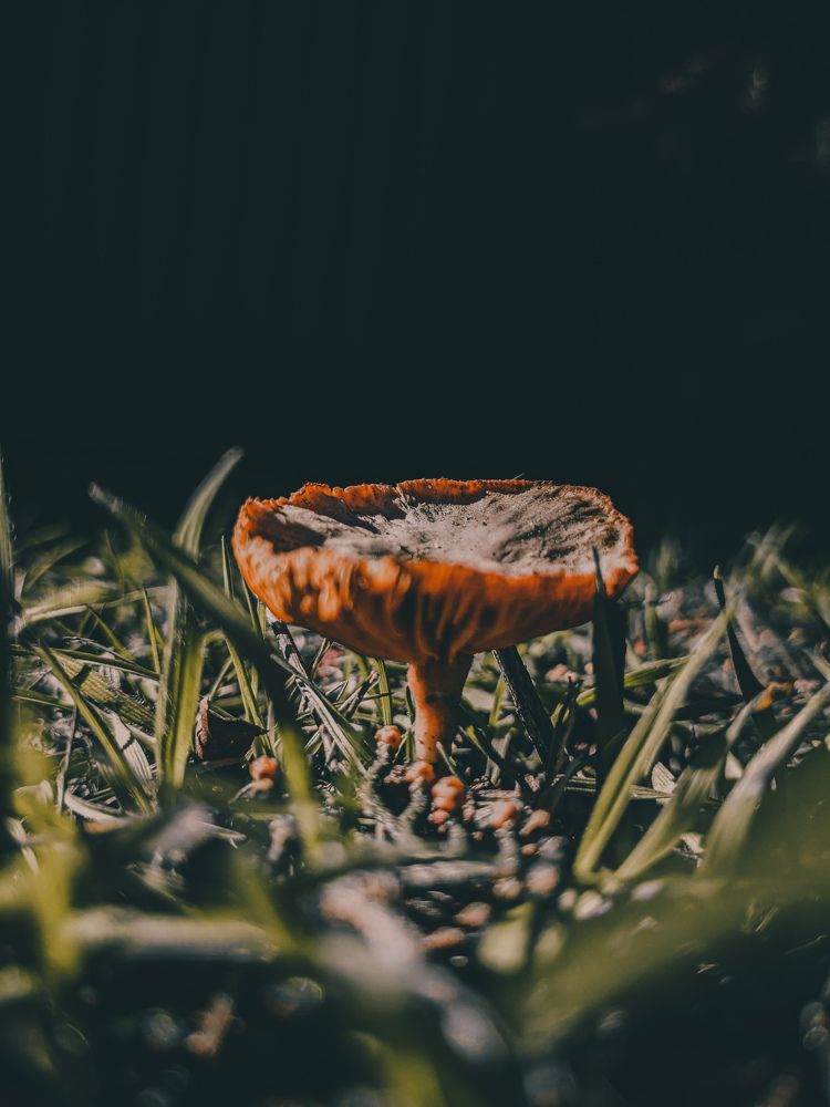 Photograph by Oxana ELTSOVA