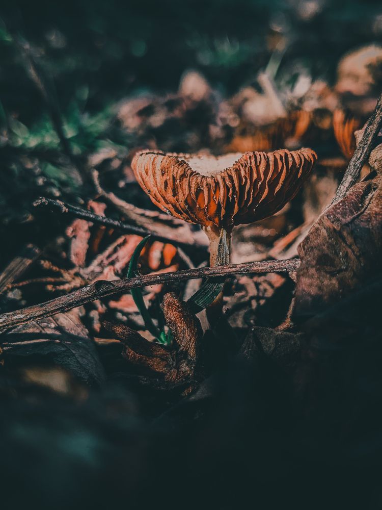 Photograph by Oxana ELTSOVA