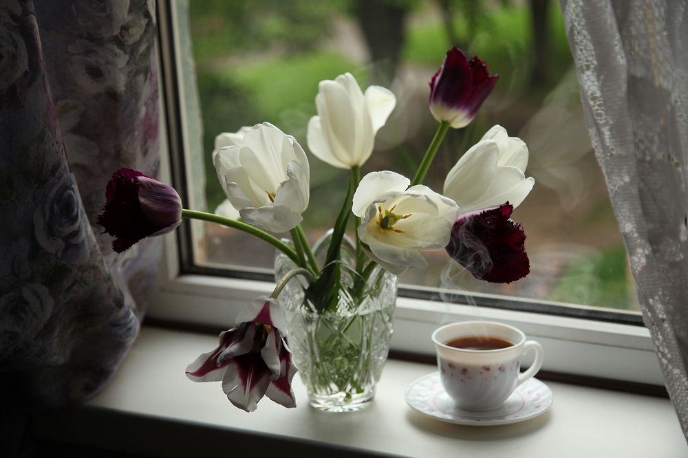 Photograph by Снежанна Родионова