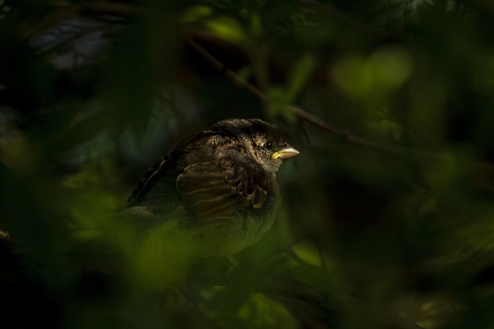 Photograph by Юлия Куликова