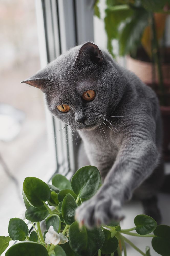 Photograph by Екатерина Васильева