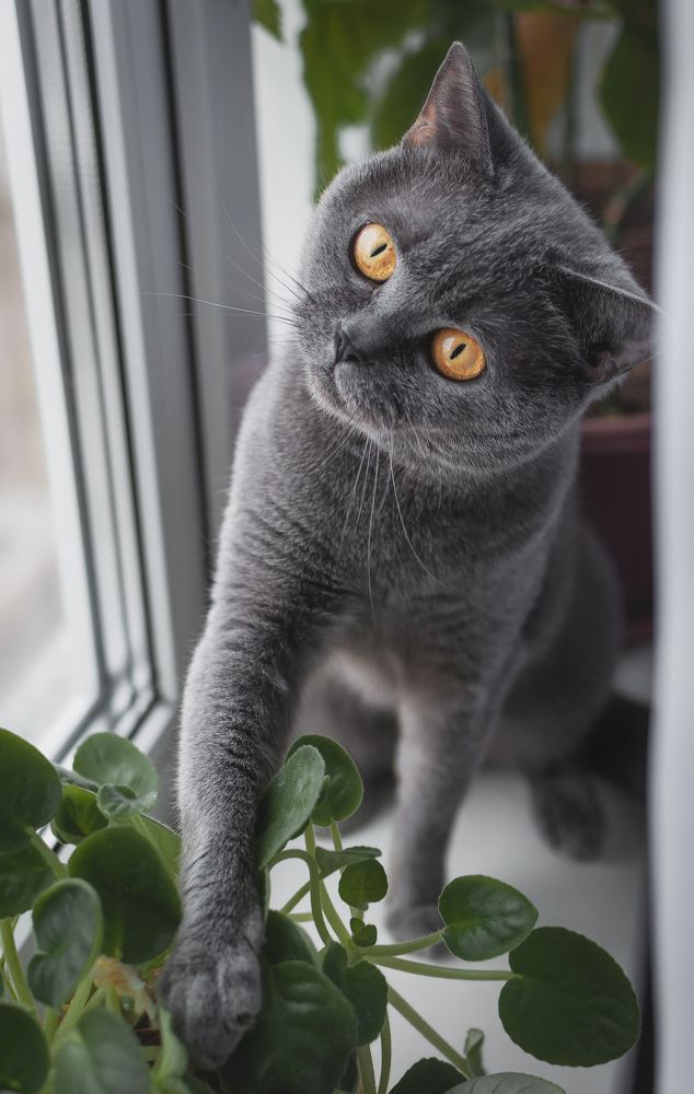 Photograph by Екатерина Васильева