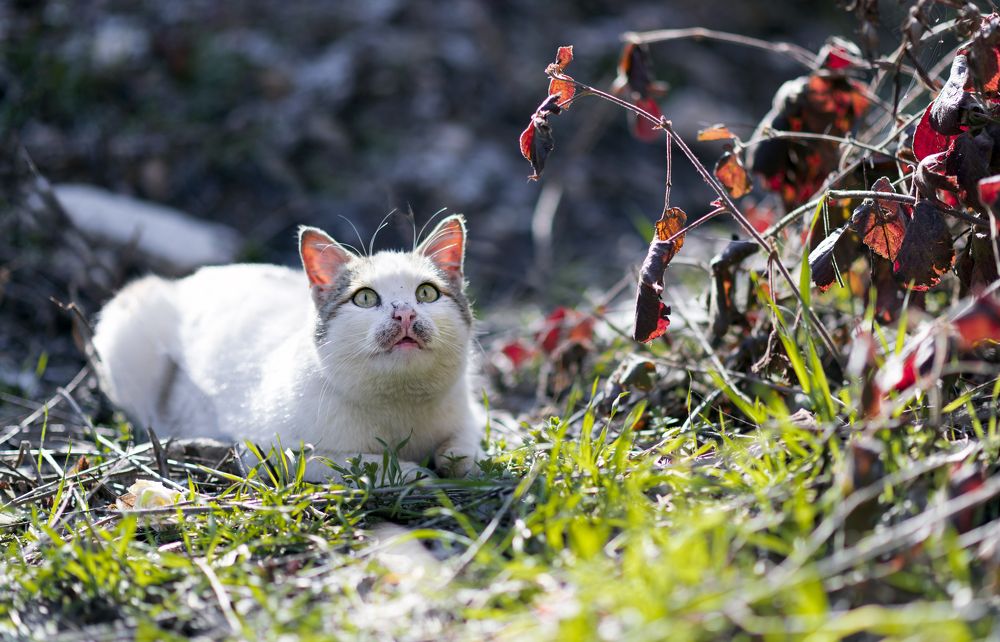 Photograph by Adl Abdolahi