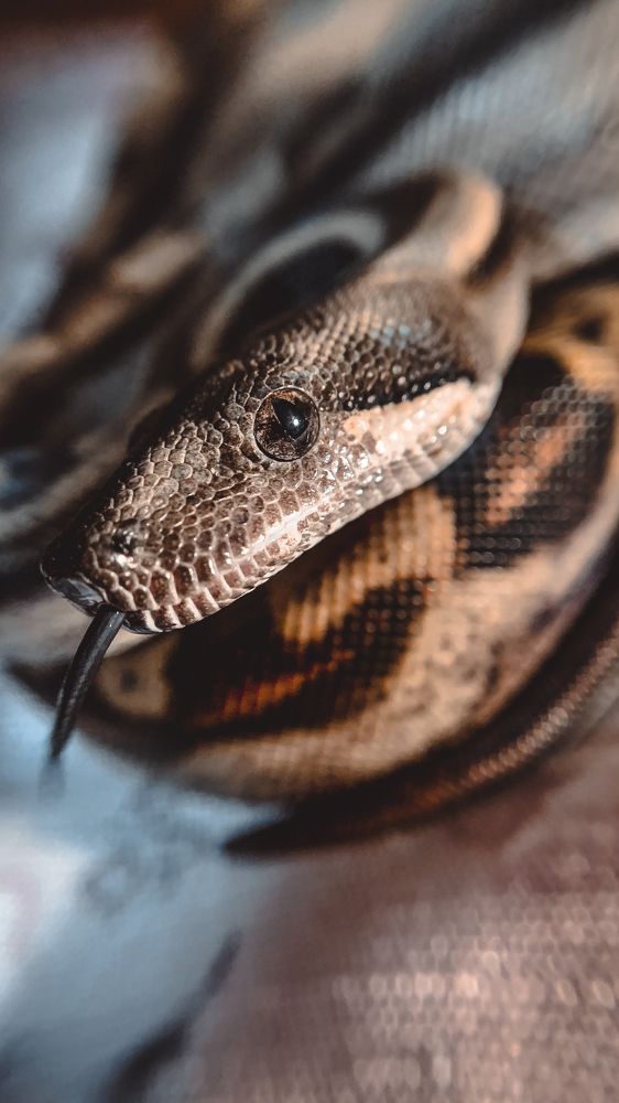 Photograph by Ксения Хачатурова