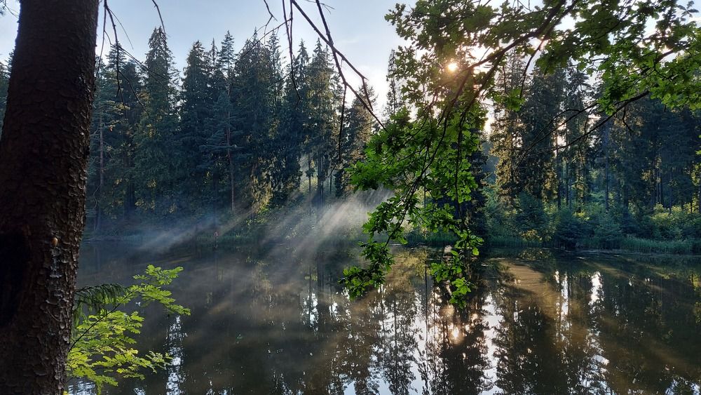 Photograph by ЭЛЬМИРА  ИСМАИЛОВА