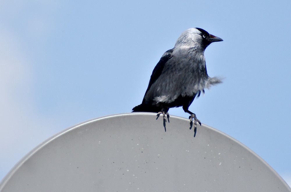 Photograph by Marina Weiland