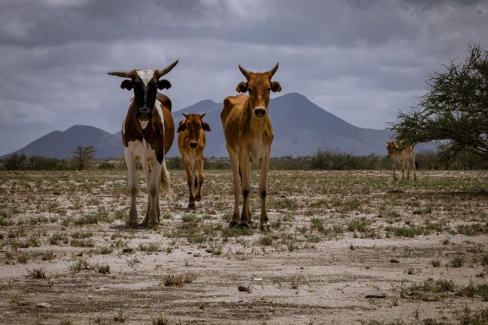 Photograph by Светлана Епифановских