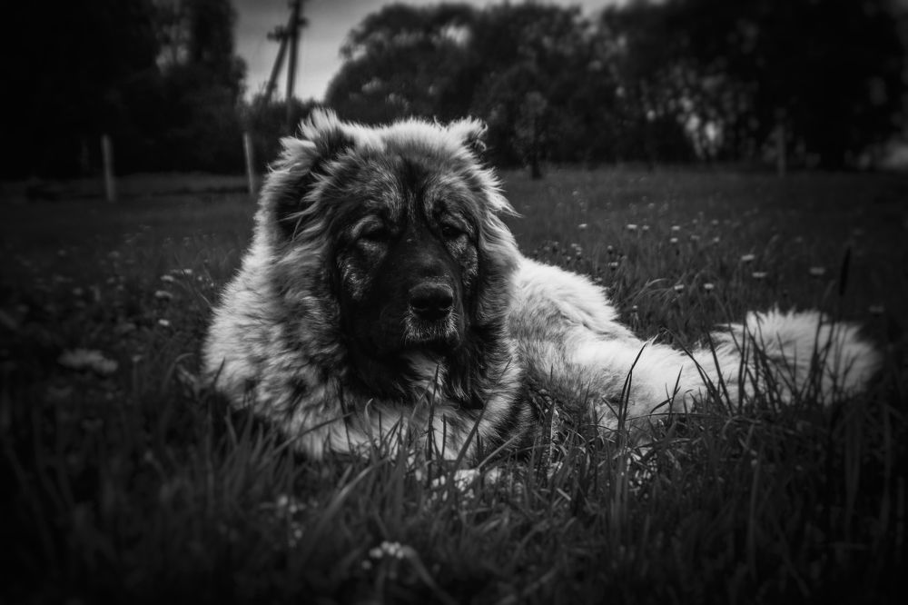 Photograph by Мария Колоскова