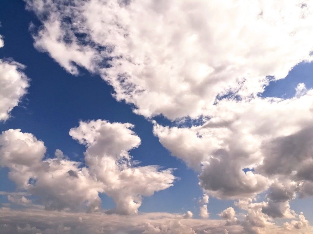 Фотография автора Olena Dyliurman