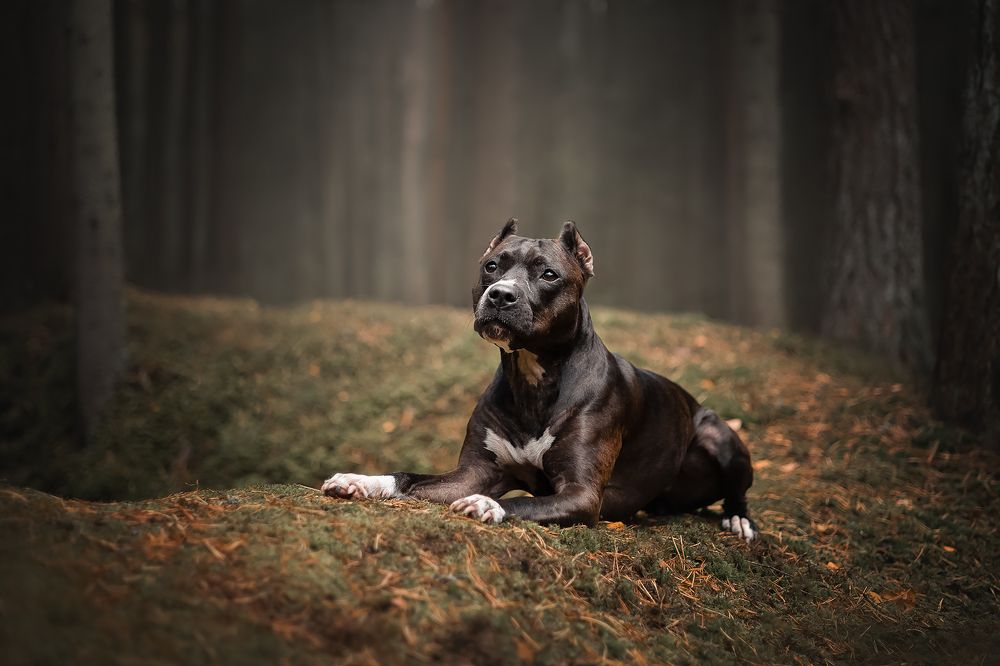 Photograph by Вика Сердюкова