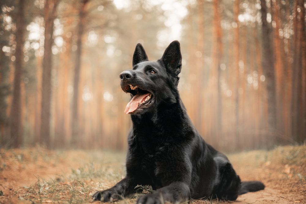 Фотография автора Вика Сердюкова