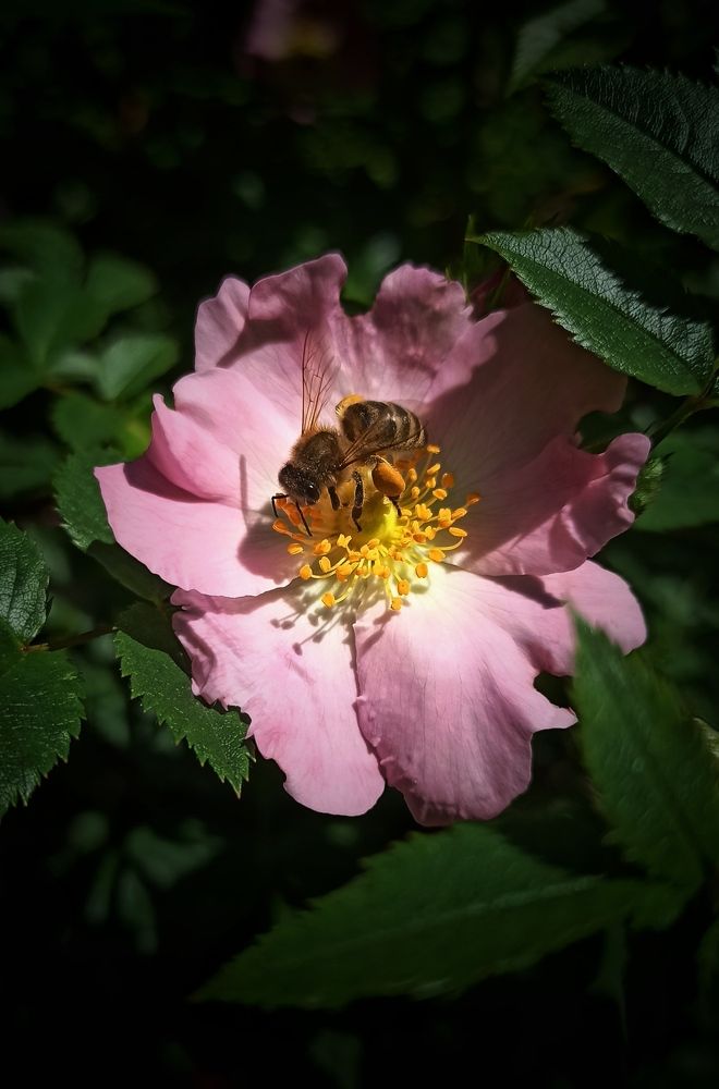 Photograph by Анна Валерьевна