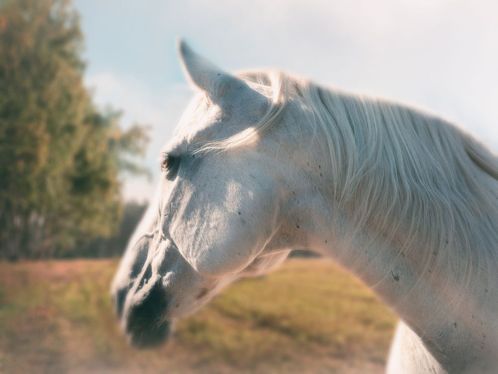 Photograph by Дмитрий Поварков