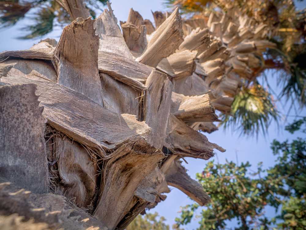 Photograph by Дмитрий Поварков