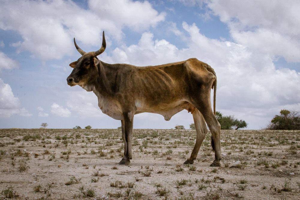 Photograph by Светлана Епифановских