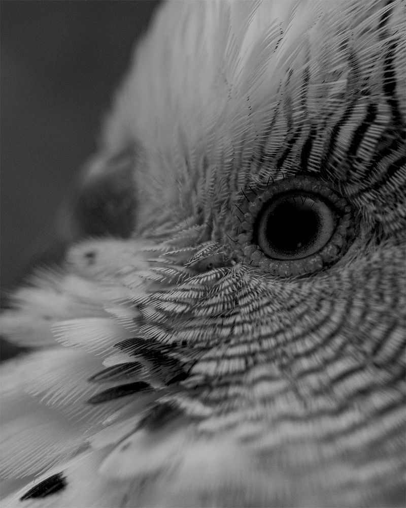 Photograph by Вера Рябинина