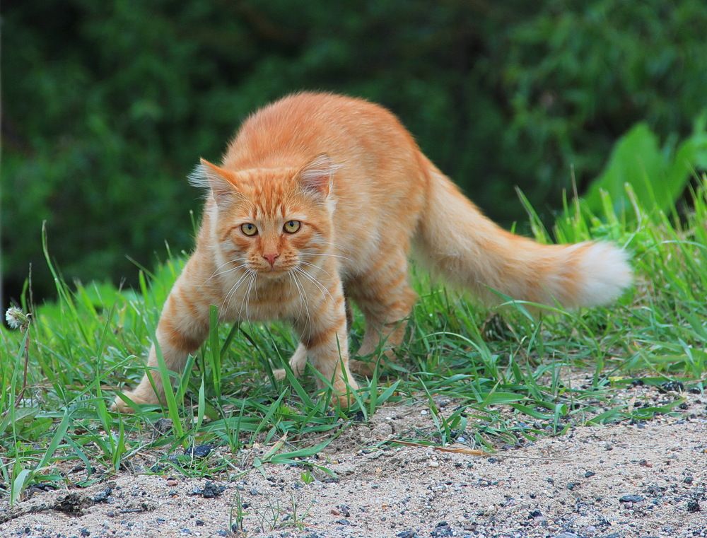 Photograph by Суетинов Евгений