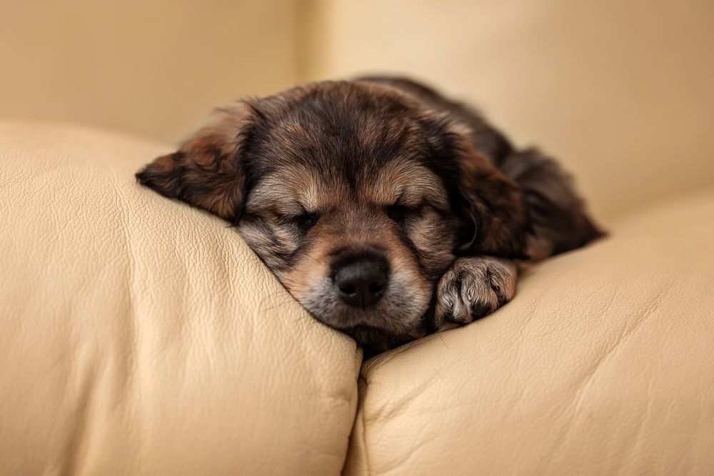 Photograph by Вероника Саратовцева