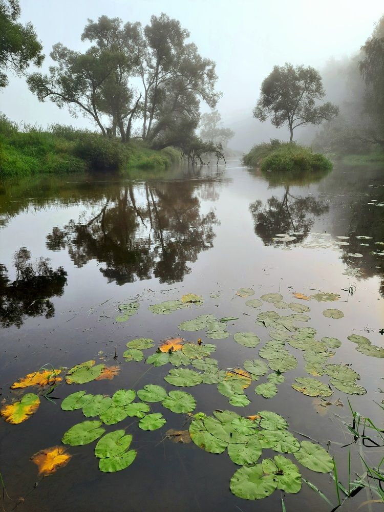 Photograph by Суетинов Евгений