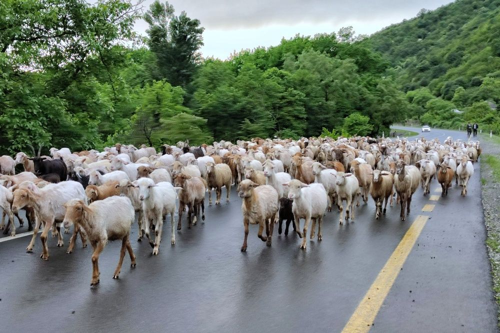 Photograph by Айдын Мехтиев