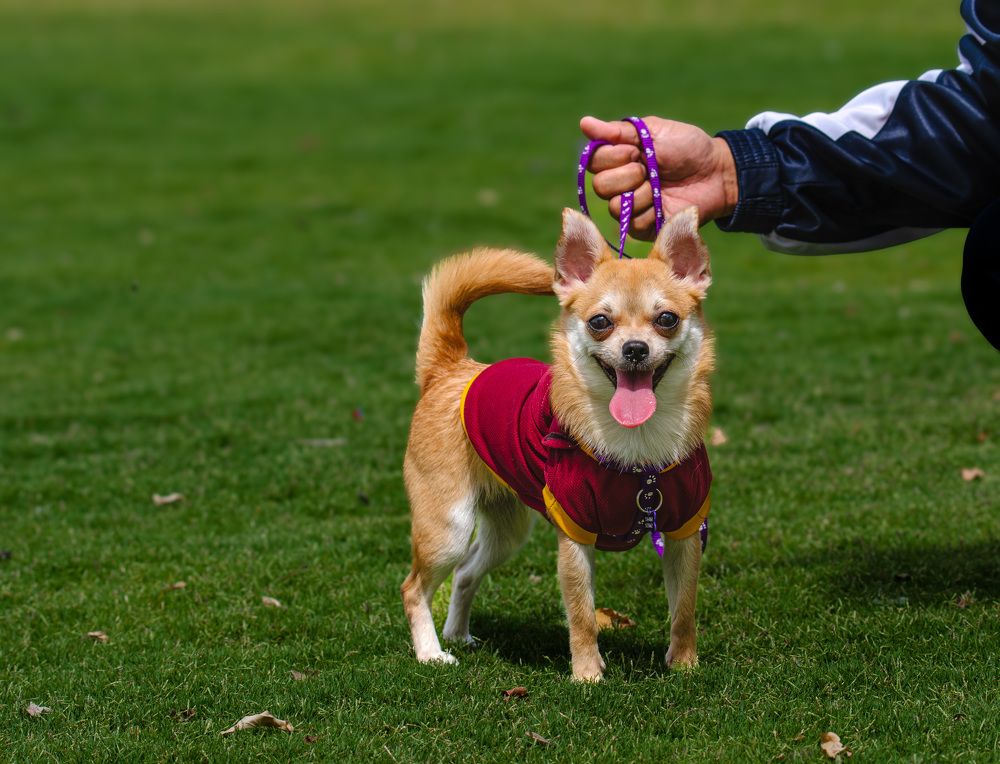 Фотография автора Sajeev Krishnan