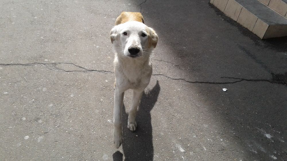 Photo #7494667