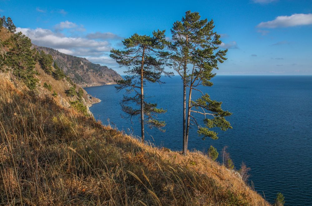 Photograph by Ольга Литвинцева