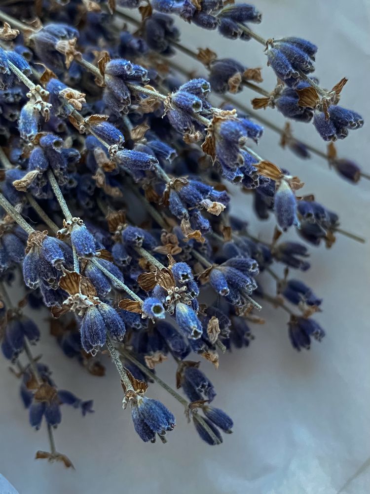 Photograph by индира губайдуллина