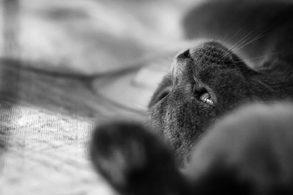 Photograph by Ирина Кузькина