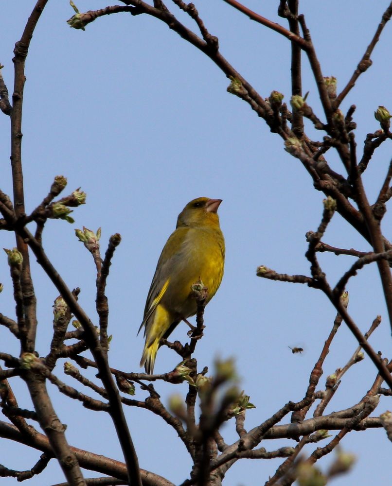 Photograph by Юрий Варюхин